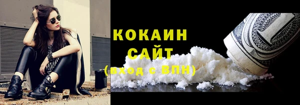 индика Армянск