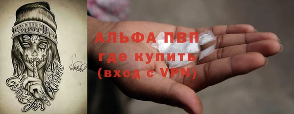 индика Армянск