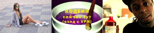 индика Армянск